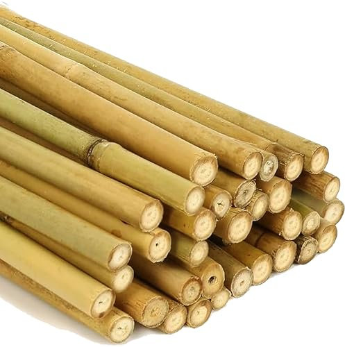AQS INTERNATIONAL 2ft-7ft Professional Large Bamboo Canes Strong Heavy Duty Thick Natural Stake Pole Can Plants Garden Plant Flower Gardening Sticks Supports (30, 4FT (10-12mm))