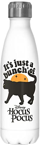 Disney Amuck 17 oz Stainless Steel Water Bottle, 17 Ounce, Multicolored