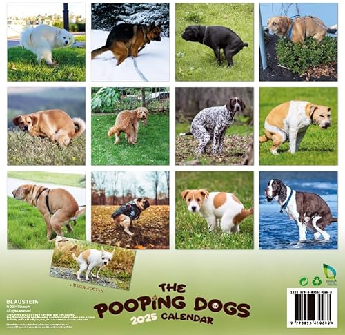 Kackende Hunde - Der Pooping Dogs Kalender 2025: witziger lustiger Kalender - Scherzartikel