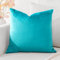 Artscope Samt Kissenbezug Kissenhülle Dekorative Dekokissen Sofakissen Lendenkissen Wurfkissenbezug Sofa Schlafzimmer 60x60cm Türkis