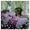 Rideau de Perles en Cristal 6m - Mode Luxe pour Maison, Salon, Chambre - Décoration de Mariage - Ficelle (Couleur : Bleu Lac)