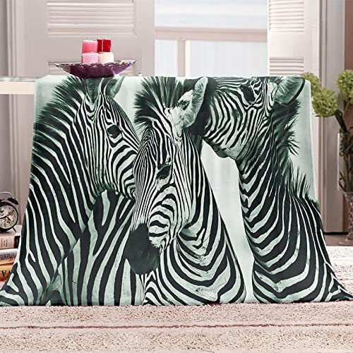 Kuscheldecke schwarz-weißes Zebra Microfaser Flanelldecke, Fleecedecke für Couch weich und warm, Wohndecke Flauschig Sofadecke Couchdecke 70 x 100cm