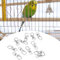12Pcs Pet Birds Cage Metal Hook Clip Iron Anti-Escape Pet Bird Cage Door Buckle Lock Claw Trigger Snap Hook