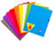 ClaireFontaine 299361AMZC Lot de 9 Cahiers Agrafés Mimesys - 24x32 cm - 96 Pages Grands Carreaux 90 g - Couvertures Polypro Assorties (Bleu, Rouge, Jaune, Vert, Gris, Violet, Orange, Rose et Incolore)