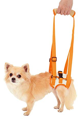 LVYONG Hilfsgurt Für Ältere Hunde-Orange_M Taillenumfang 35~45Cm Gehhilfe Für Hunde (Hinten) Tragegurt Hundtragehilfe Tragehilfe Für Hunde Tragehilfe Hund Tragehilfe Hundhunde Tragehilfe Gehhilfe Für