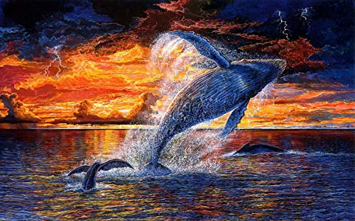 Viiegor DIY 5D Diamond Painting Zubehör Voll Full Set Wal, Diamant Painting Bilder MeerOzeanTier, Stickerei Strass Diamant Malerei Kunsthandwerks Gemälde Wanddekoration 30x40cm