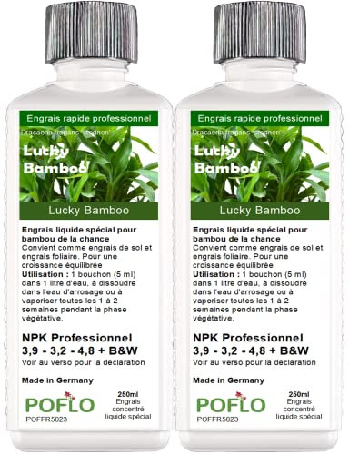 POFLO Engrais pour Lucky bamboo, bambou chinois, bambou de la chance, gamme complète d'engrais professionnel spéciale HIGH-TECH NPK pour la fertilisation du bambou Dracaena sanderiana (500ml)