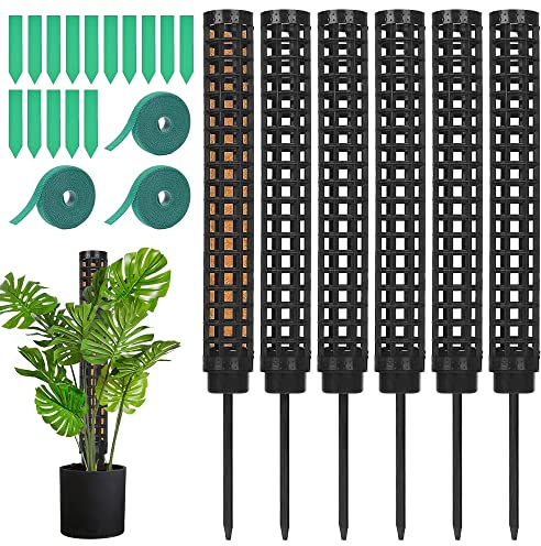 Frunimall Monstera Pflanze,Rankhilfe Zimmerpflanzen Plastik,Moosstab für Monstera,Moss Pole Monstera,Pflanzenstab für Garten Pflanzenunterstützung,Kletterpflanzen,6 Stück,25 cm