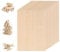10pcs Natural Plywood Sheets Boards 200x100x2mm Thin, Craft Wood Boards, Plywood Board Thin Wood Board Sheets, Unfinished Wood Boards for Crafts, Hobby, Model DIY Making
