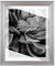 BIRAPA Bergamo Bilderrahmen Mattsilber- Optik - Bilder Rahmen 70x100cm - Fotorahmen Glas antireflex Plexiglasscheibe - Wanddeko Fotowand Fotogeschenke