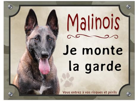Plaque malinois je monte la garde attention au chien panneau monte la garde pancarte berger belge