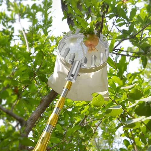 Recogedor de Frutas con Palo Telescopico 2-7M Recoge Frutas de Árboles, Recoge Frutas Telescopico con Palo Telescopico para Manzanas, Naranjas, Peras (Size : 7m(22.9ft))