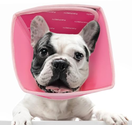 Collari Protettivi e Coni per Cani, Cono per Animali Domestici Recupero Collare Regolabile Plastica per Gatti e Cani Collari a Forma di Cono Cani Collari Curativi per Recupero delle Ferite(Rosa, S)