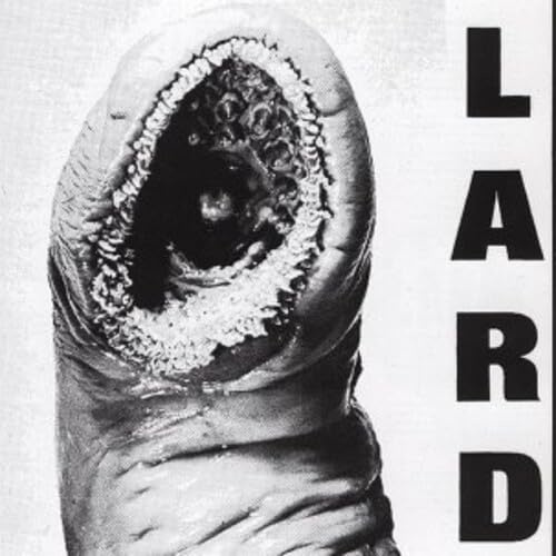 Power of Lard [Vinyl]