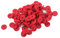 Alnicov 12.5MM Piano Felt Front Rail Regulating Punchings Red Keyboard Balance Washers Repair Parts Pack of 90