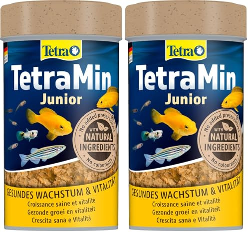 TetraMin Junior - Fischfutter in Form von kleinen Flocken für heranwachsende Jungfische ab 1cm Länge, spezielles Wachstumsfutter, 100 ml Dose (Packung mit 2)