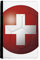beatChong Schweiz Nationalflagge Fußball-Pass-Halter Travel Wallet Abdeckungs-Fall Karten-Geldbeutel