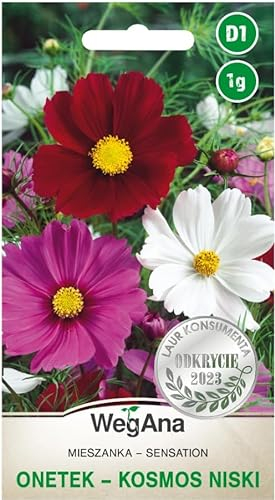 WegAna Cosmea Sensation Mix graines 1g, Mélange de corbeilles décoratives Fleurs d'été, Plantes de jardin Plantes de balcon, Fleurs semences, Graines de fleurs