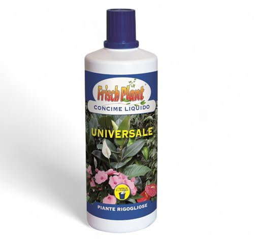 Frisch Plant concime piante e fiori universale liquido inorganico 1lt, garantisce nutrizione bilanciata a tutte le specie di piante verdi e da fiore in casa,balcone, giardino, ortaggi, frutta