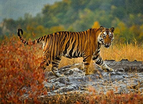 5000 Teile Puzzle Spiel Tiger Puzzle Holzspielzeug Geschenk Wohnkultur