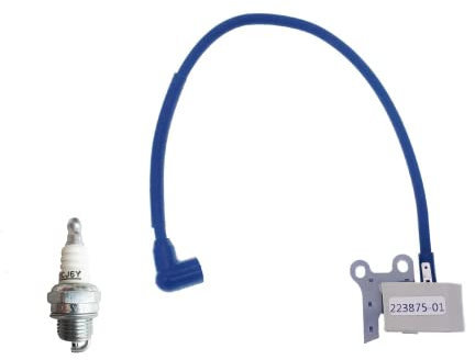 IGCLINIC Ignition Coil with Spark Plug Compatible with McCulloch Chainsaw 10-10S 605 3.7 610 650 800 850 700 5700 8200 TimberBear Pro Mac,Replaces 223875-01 223707-01 223708-01 223876-00