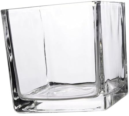 Yardenfun Glasvase Quadratisch 10 x 10cm Würfelförmiger Pflanzenhalter Für Hydrokultur Transparente Blumenvase Für Wohn Und Arbeitsbereich