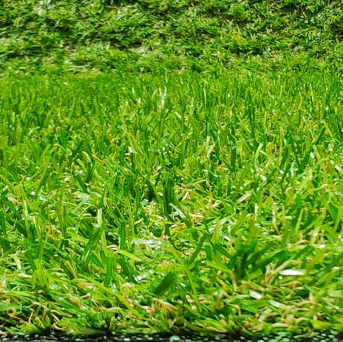 Rollo de Césped Grande Artificial, Moqueta Terraza o Jardín de 20 MM Altura, (200 x 600 Centímetros)
