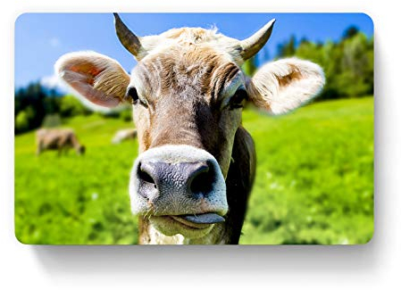 100 Visitenkarten inkl. Kartenspender - Design Kuh mit Hörnern