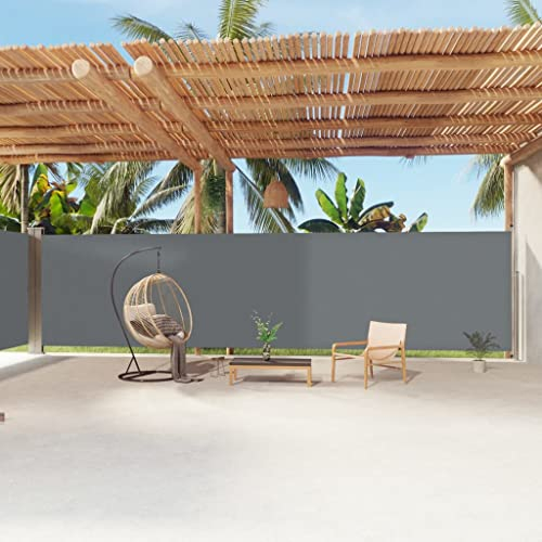 vidaXL Tenda da Sole Laterale Retrattile Antracite 200x1200 cm