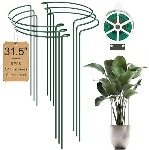 6-Stück 80cm Pflanzenstütze, Stahl Pflanzenhalter & Pfingstrosen-Hortensien-Tomatenkäfig, Hochwertige Garten-Pflanzenstütze für Draußenpflanzen, Plant Cages & Supports 31.5in