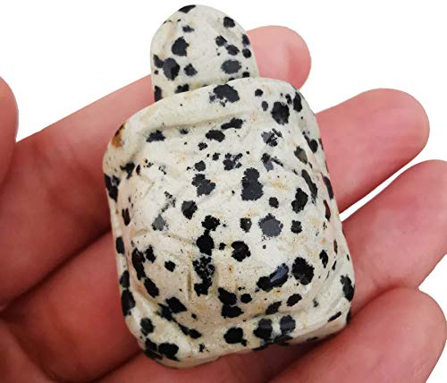Lovionus89 Hand Carved Turtle Made of Natural Stone 40mm | Gemstone Figure Lucky Bringer | Pocket Stone handsmith Decoration | Feng Shui Gift, Dalmation Jasper