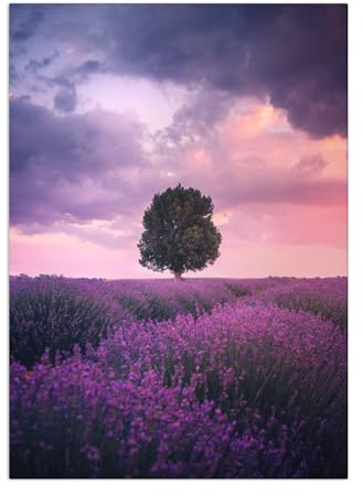 Displate - Poster aus Metall - Magnet-Montage - World Class Photos - Landscapes - Lavender Fields, Isparta 45 cm x 32 cm
