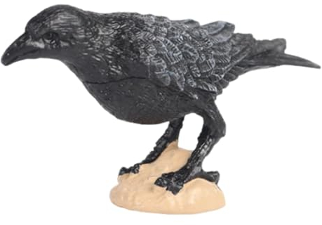 Fonowx Raben-Vogel-Figuren, Vogel-Tier-Skulptur, Heimdekoration, realistische pädagogische Papageien-Figuren, Spielzeug, Lehrmittel, Badespielzeug