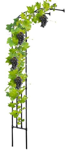 Garden Arch,Garden Trellis Half-side Arch Heavy-Duty Garden Arbours Grape Vines Pergola Metal Wedding Archway - H240cm/94in, Rose Arbor Climbing Plants Support Arches(150x240x40CM/4.9x7.9x1.