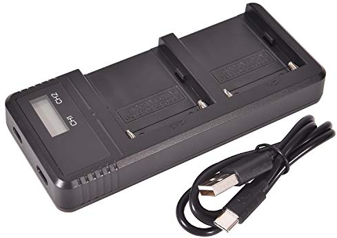 DSTE Fast Charging Dual LCD Batteria Caricabatterie per Sony NP-FM55H NP-FM50 NP-FM30 NP-FM51 NP-QM50 NP-F330 NP-F550 NP-F570 NP-F750 NP-F770 NP-F930 NP-F950 NP-F970 NP-FM500H NP-QM770H