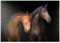 MyPuzzle Zwei Pferde vor schwarzem Hintergrund - Premium 1000 Teile Puzzle - MyPuzzle Sonderkollektion von Puzzle Galaxy
