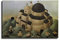 35+ Fernando Botero Poster The Great Feast von Fernando Botero Naïve Art Surrealist Poster Dekorative Malerei Leinwand Wandkunst Wohnzimmer Poster 60 x 90 cm