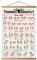 HYUOEP Poster mit Hantel-Trainingspose, dekorativer Körperpositionsdiagramm, Druck auf Leinwand, Wohnzimmer, Poster, Schlafzimmer, Wandkunst, 40,6 x 61 cm, mit Rahmen