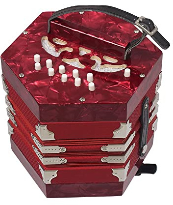 Professionelles Ziehharmonika-Akkordeon mit 20 Tasten, verstellbare Handschlaufe, Tragetasche, Musikinstrument für Anfänger, für tägliche Praxis Bühnenaufführung