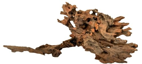 Amtra Holz Honeycomb – Größe S 20 – 30 cm, Dekoration aus Naturholz für Aquarien, Naturstamm Ornament, Dekoration für Terrarien