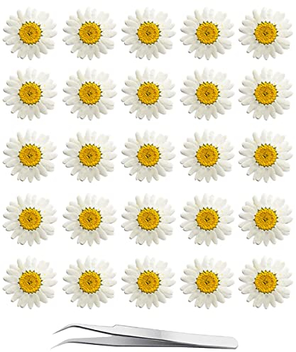 YouthBro 60-teiliges Blumen-Set aus getrockneten Gänseblümchen, echte Natur, Blumen-Set für Harz, DIY, Schmuck, Kerzen
