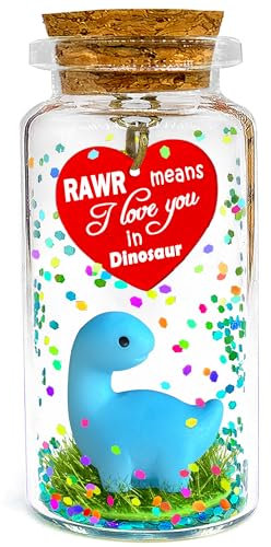 Anniversary Rawr Means I Love You in Dinosaur Valentines Gift, Romantic Message in a Bottle, Funny Birthday Christmas Presents Cute Dino Gifts for Her Him Girlfriend Boyfriend Wife Husband Couples