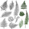 craspire Feuilles Tampons en Caoutchouc Feuille d'arbre Tampons Transparents Tampons en Silicone Tampon pour Bricolage Scrapbooking Album Photo Cartes Décoratives Faisant Timbre Journal Décor