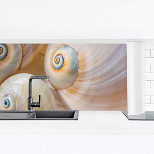 Bilderwelten Küchenrückwand Folie Glänzend 40x140 cm Muscheltrio auf Holz Spritzschutz Fliesenspiegel Küche-Rückwand Motiv Klebefolie