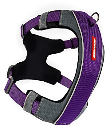 EzyDog No-Pull Hundegeschirr für Kleine Hunde, X-Link Anti Zug Geschirr Hund Verstellbar, Welpengeschirr Einstellbar, Reflektierendes, Größenverstellbar, Brustgeschirr Gepolstert (S, Violett)