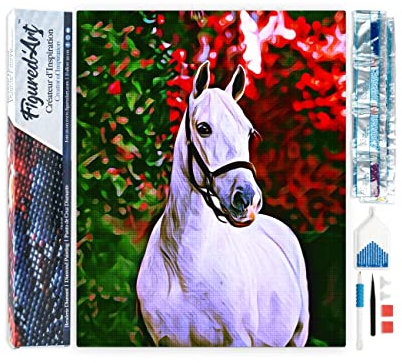 Figured’Art Diamond Painting Broderie Diamant 40x50cm Toile Entière Roulée avec Strass Perles Carrés - Cheval et fond coloré - Kit Complet Animaux 5D DIY Activité Manuelle Loisirs Créatifs Adultes
