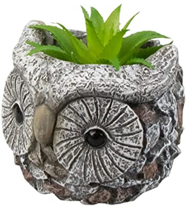 Widdle Gifts Ltd Artificial Succulent Animal Planter Cement - Owl