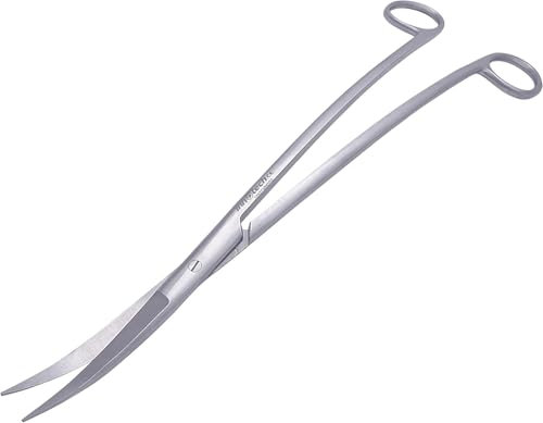 Innotech aquariumschere Aquarium Reinigung Wave Schere Schwarz Pflanzenschere für Wasserpflanzen (Silber, 25 cm)