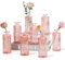 Sawoake Kleine Vasen, 8 Stück Glasvasen für Tischdeko Mini Vasen Glasfläschchen für Zuhause, Hochzeiten, Geburtstage, Feste (Rosa Vertical)
