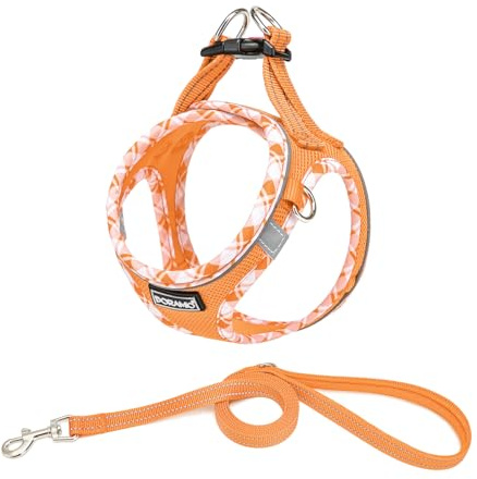 DORAMIO Harnais Chien, Step-in Harnais pour Chiens avec Laisse, Réfléchissant Respirant Mesh Doux Confort Réglable Gilet Harnais pour Petite Chiens Chats pour Marcher Courir (Orange, XL)